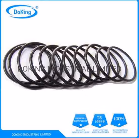 Nok NBR-Gummi-O-Ring-Viton-Dichtung für die mechanische Abdichtung von Industrieanlagen